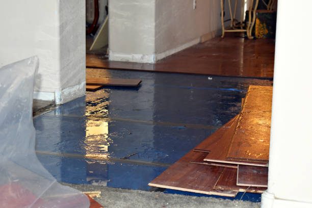 Professional Flood Damage Repair technician working in Temple, PA